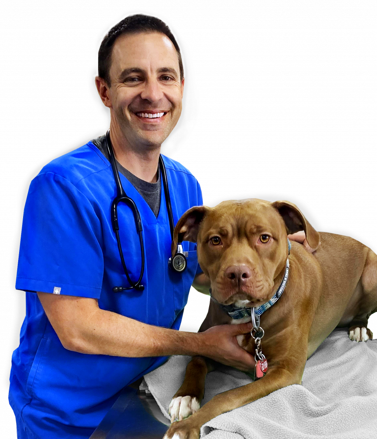 Tulsa Animal Urgent Care | Same Day Emergency and Urgent Care for Pets