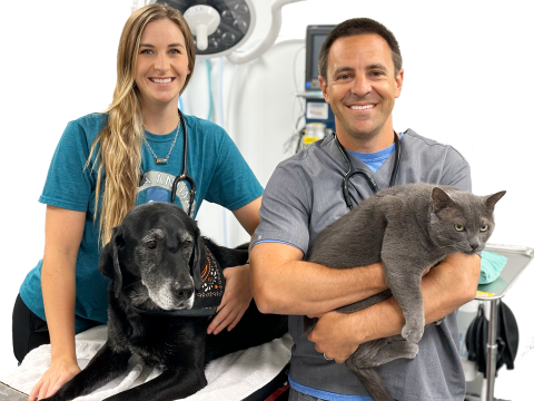 Tulsa Animal Urgent Care | Same Day Emergency and Urgent Care for Pets